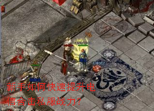 ������ο����������źϻ�˽��ս����