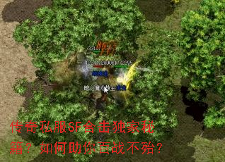 ����˽��SF�ϻ������ؼ�����������ս������