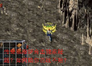 ����˽��SF�ϻ������ؼ�����������ս������