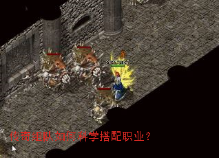 ���������ο�ѧ����ְҵ��