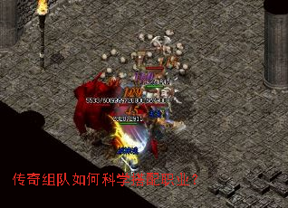 ���������ο�ѧ����ְҵ��