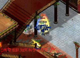 ���������ο�ѧ����ְҵ��