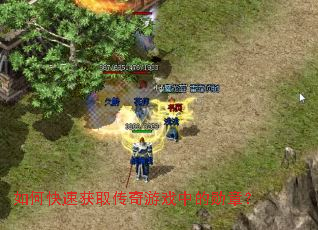 ��ο��ٻ�ȡ������Ϸ�е�ѫ�£�