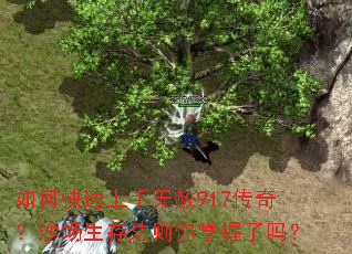 ��ο�����������917���棿ɳ�����淨������������