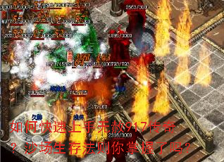 ��ο�����������917���棿ɳ�����淨������������