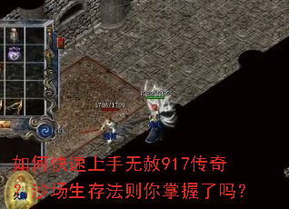 ��ο�����������917���棿ɳ�����淨������������