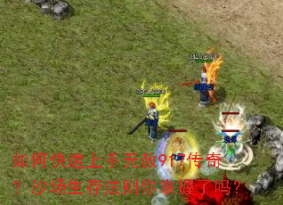 ��ο�����������917���棿ɳ�����淨������������