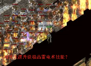 ��ο���������Ʒ�׵������ܣ�