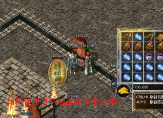 ��ο���������Ʒ�׵������ܣ�