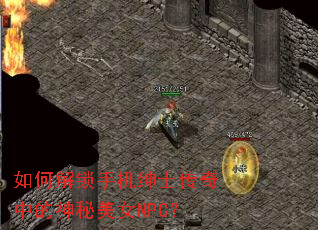 ��ν����ֻ���ʿ�����е�������ŮNPC��