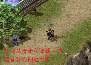 ��δӴ���˽�����ֿ��ٽ���Ϊ�ʵ�ר�ң�