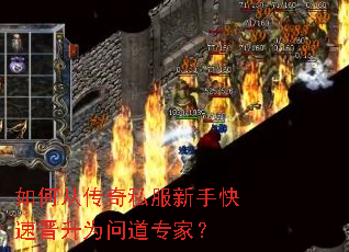 ��δӴ���˽�����ֿ��ٽ���Ϊ�ʵ�ר�ң�