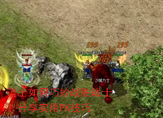 ��ʿ�������սʤսʿ������ʵ��PK����