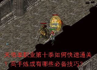 ���ӵ�ְҵ��ʮ����ο���ͨ�أ�������������Щ�ر����ɣ�