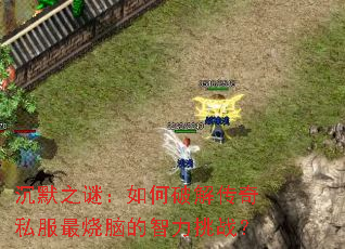 ��Ĭ֮�գ�����ƽ⴫��˽�������Ե�������ս��