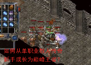 ��δӵ�ְҵɢ�˴������ֳɳ�Ϊ�۷����ߣ�