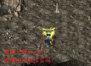 �ѵ�ֻ��boss���ܱ���������װ��