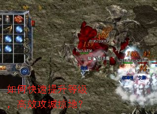 ��ο��������ȼ�����Ч�����ӵأ�