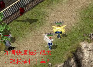 ��ο�������ս�������ɺ�ɨǧ����