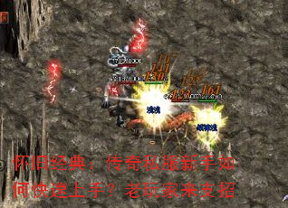 ���ɾ��䣺����˽��������ο������֣��������֧��