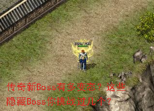 传奇新Boss有多变态?这些隐藏Boss你挑战过几个? 传奇新Boss有多变态?这些隐藏Boss你挑战过几个?