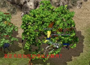 ����ϵͳ�������ս�������