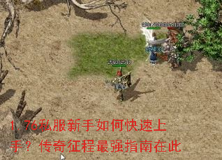 1.76˽��������ο������֣�����������ǿָ���ڴ�