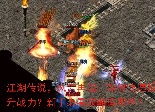 ������˵������������ο�������ս�������ֱؿ���������Щ��