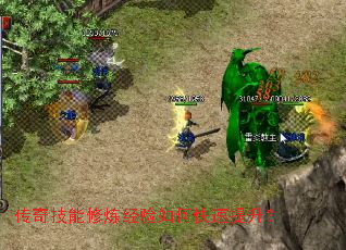 ���漼������������ο���������