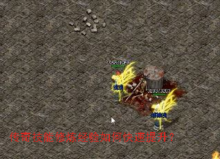 ���漼������������ο���������