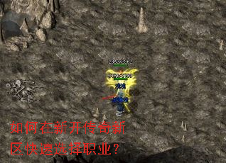 ������¿�������������ѡ��ְҵ��