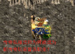 ����˽����ʦΪ���ܳ�Ϊ�´��������ѡְҵ��