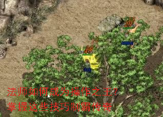 ��ʦ��γ�Ϊ����֮����������Щ�����ưԴ���