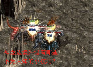 �����߾���������Щ��Ϊ��֪��С���ɣ�