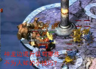 �����߾���������Щ��Ϊ��֪��С���ɣ�