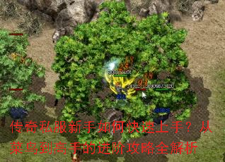 ����˽��������ο������֣��Ӳ��񵽸��ֵĽ��׹���ȫ����