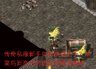 ����˽��������ο������֣��Ӳ��񵽸��ֵĽ��׹���ȫ����