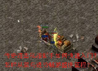 ��������˽��������ο������ţ������Ӳ�����׳���ʢ�����̣�