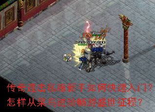 ��������˽��������ο������ţ������Ӳ�����׳���ʢ�����̣�