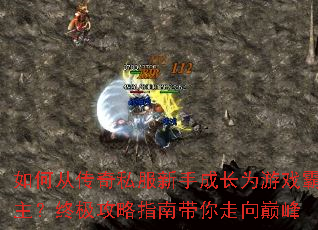 ��δӴ���˽�����ֳɳ�Ϊ��Ϸ�������ռ�����ָ�ϴ��������۷�