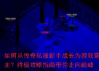 ��δӴ���˽�����ֳɳ�Ϊ��Ϸ�������ռ�����ָ�ϴ��������۷�