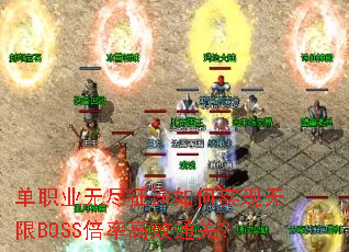 ��ְҵ�޾���;���ʵ������BOSS���ʸ�Чͨ�أ�