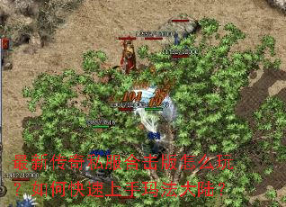 最新传奇私服合击版怎么玩?如何快速上手玛法大陆? 最新传奇私服合击版怎么玩?如何快速上手玛法大陆?