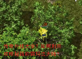 传奇外挂大全?如何利用攻略秘籍称霸玛法大陆? 传奇外挂大全?如何利用攻略秘籍称霸玛法大陆?