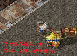 ���������ؼ���ȫ����ν�����ԭ���־����书��