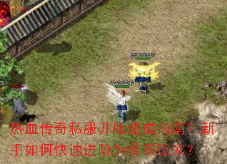 ��Ѫ����˽�������ٳ�ָ�ϣ�������ο��ٽ���Ϊ�ǻ���ң�