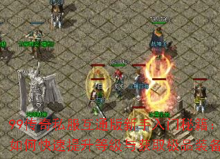 99����˽����ͨ�����������ؼ�����ο��������ȼ����ȡ��Ʒװ����