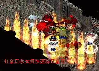 ��������ο���׬ȡ��ң�