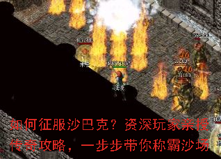 �������ɳ�Ϳˣ�����������ڴ��湥�ԣ�һ��������ư�ɳ��