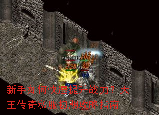 ������ο�������ս������������˽�����ڹ���ָ��